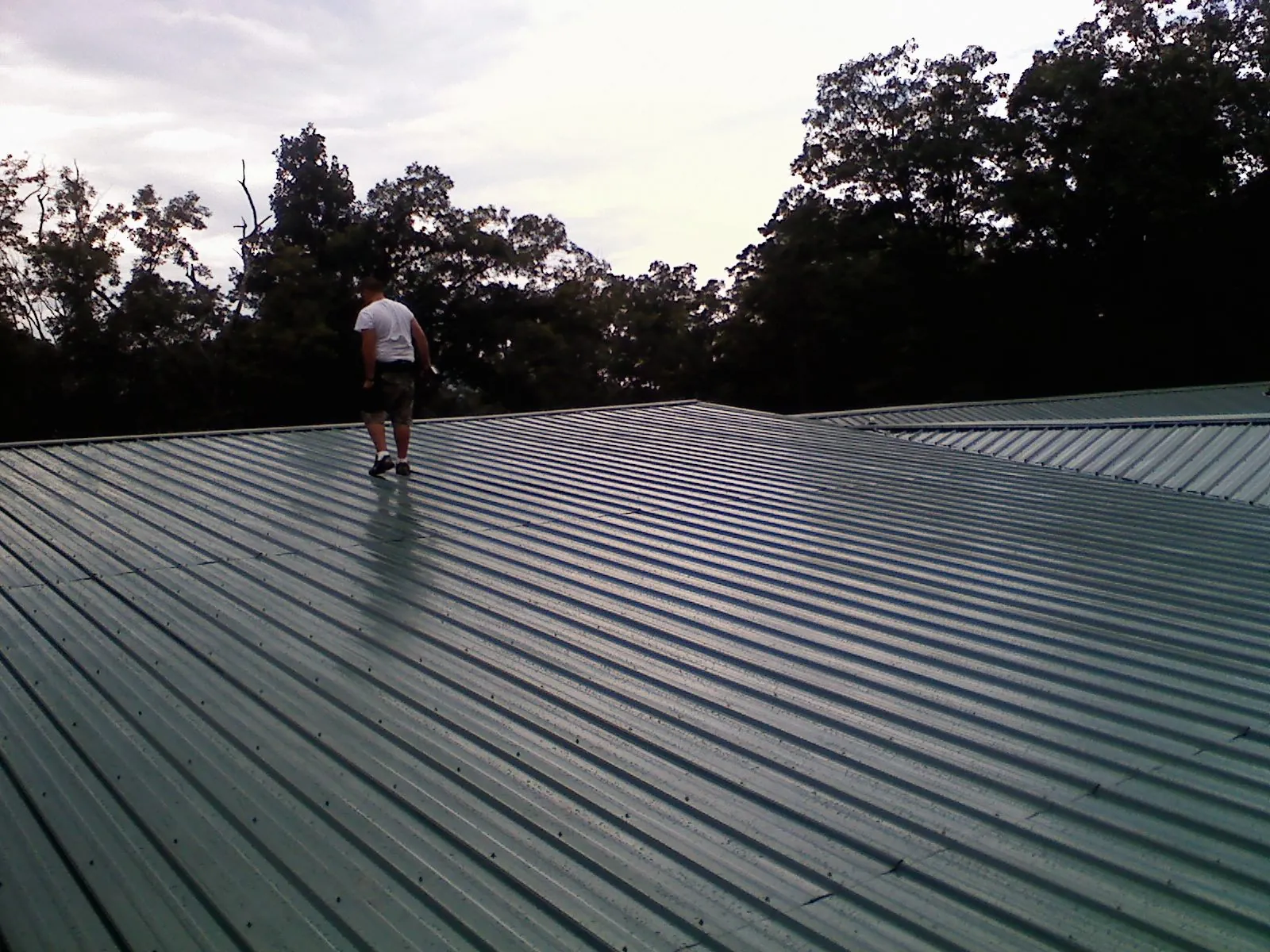 Roofer walking a wide expanse of new green metal roofing in Sabina