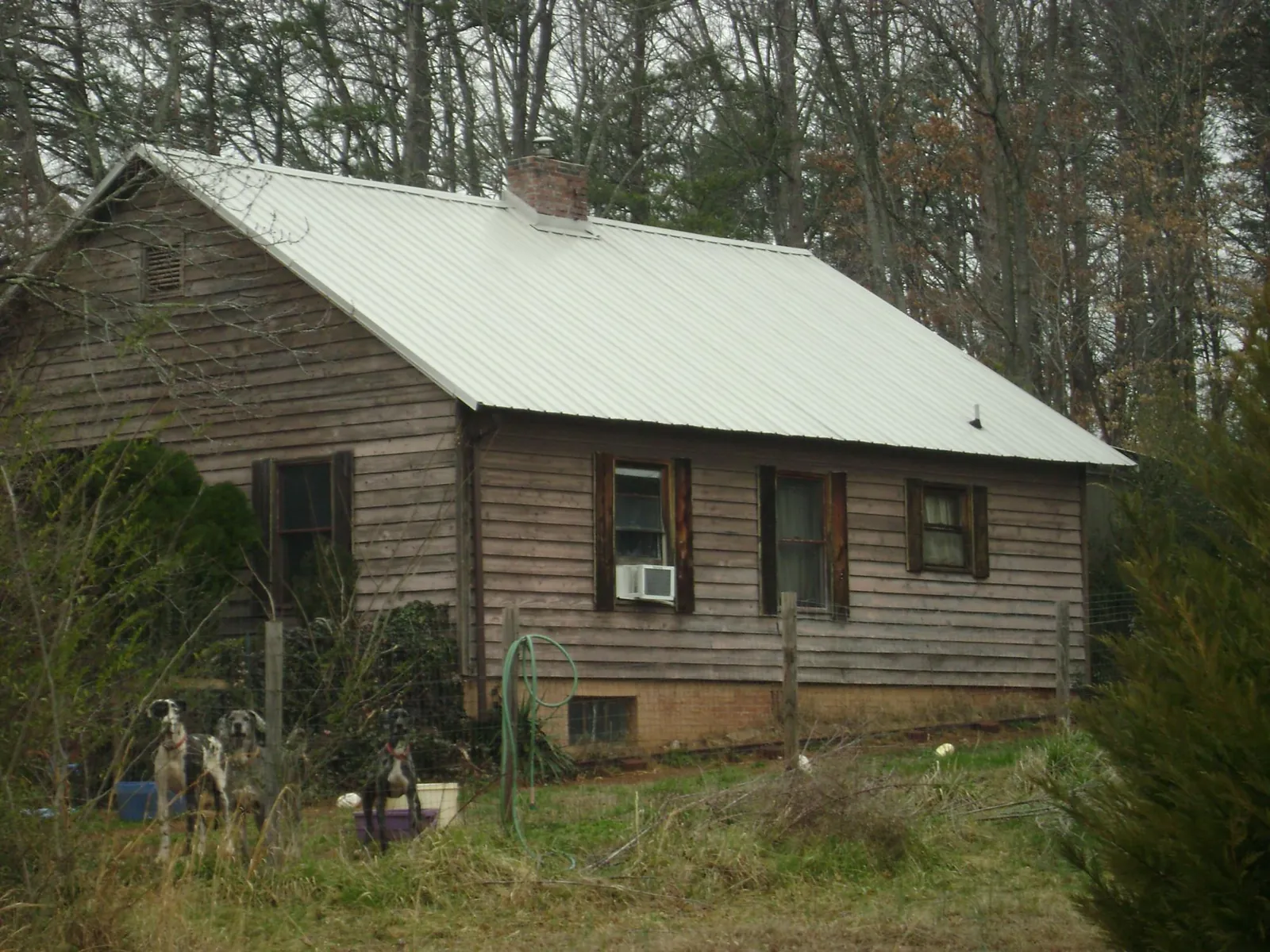 White metal roof on an old wood sided farmhouse, from a Asphalt Shingle Roof Repair job in Sabina